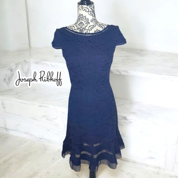 Joseph Ribkoff Dresses & Skirts - JOSEPH RIBKOFF Navy Lace & Mesh Dress - 6